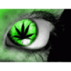 Undercower
