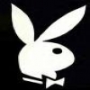 playboy