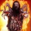 niema666