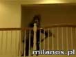 Scare Tactics - M�czyzna z siekier�