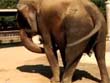 Nietypowa Reklama ZOO