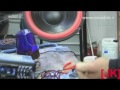 Straszny Strach na wr�ble