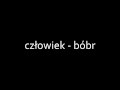 Człowiek Bóbr
