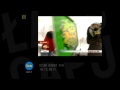 �apu Capu 19.12.2011