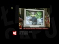 �apu Capu 11.01.2012
