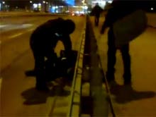 Odwa�ny Kamerzysta