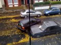 Kobieta w��cza si� do ruchu