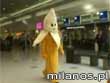 Nimportequi - Banan