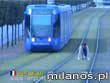 Mistrz Olimpiady