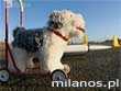 Brainiac - Czego NASA nie pr�bowa�a