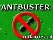 Antbuster