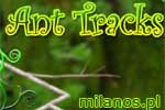 Anttracks