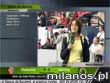 Reporterka znokautowana na meczu pi�ki no�nej