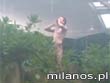 Nimportequi - Tarzan